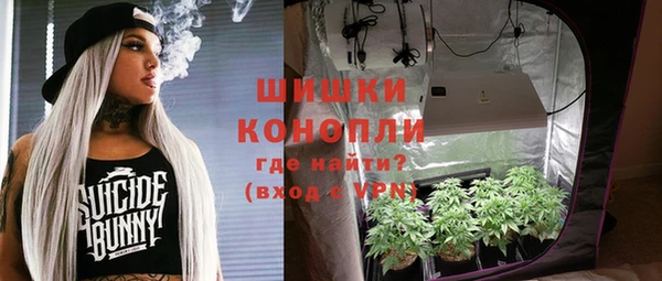 МДПВ Саяногорск